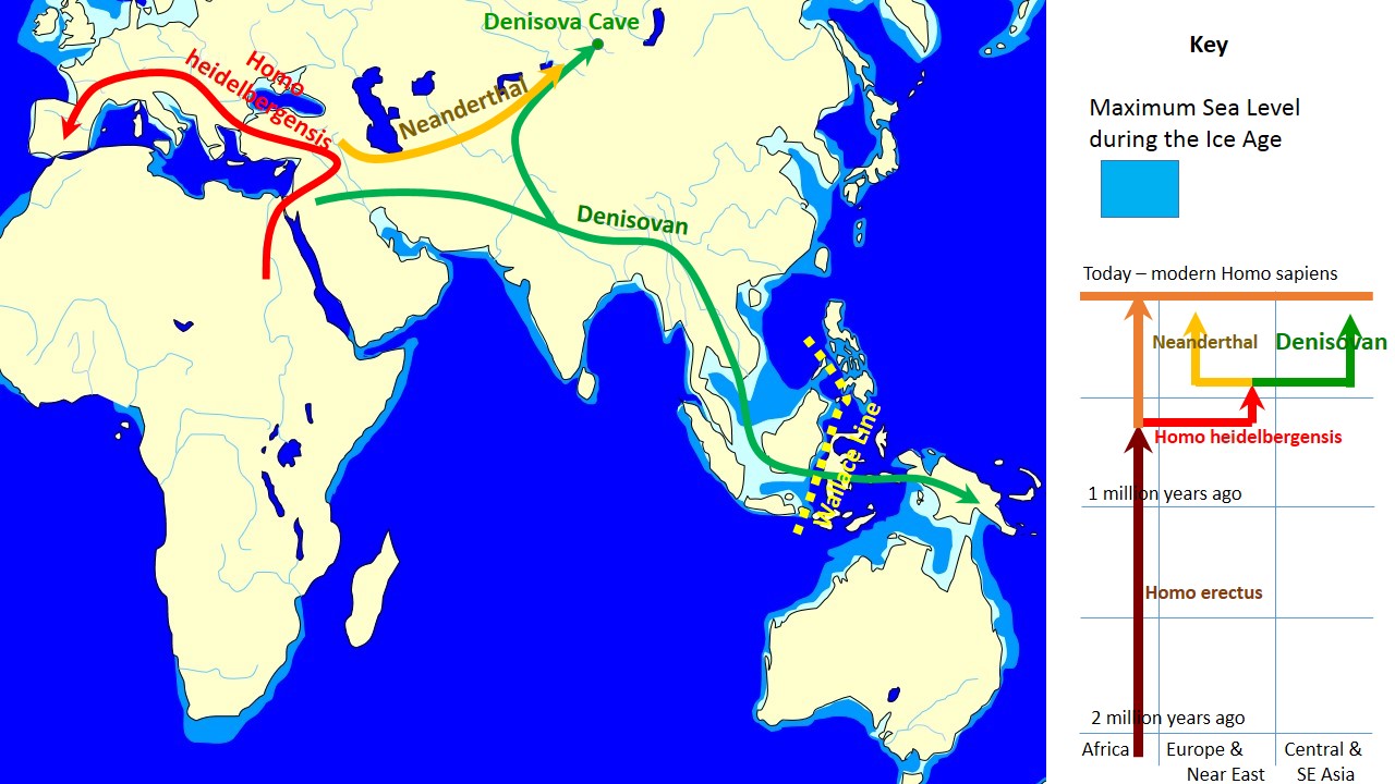 Spread_and_evolution_of_Denisovans